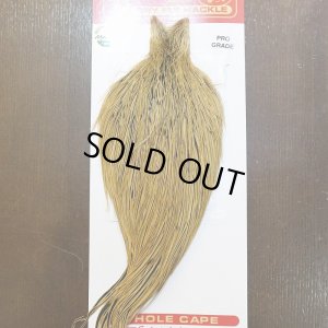 画像1: 【WHITING】ROOSTER Cape Pro Grade - Golden Badger No.2