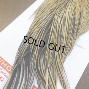 画像5: 【WHITING】ROOSTER Cape Pro Grade - Golden Badger No.1