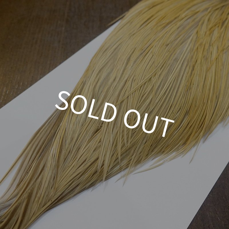 画像5: 【WHITING】Hebert ROOSTER CAPE Bronze Grade - Light Ginger No.1 (5)