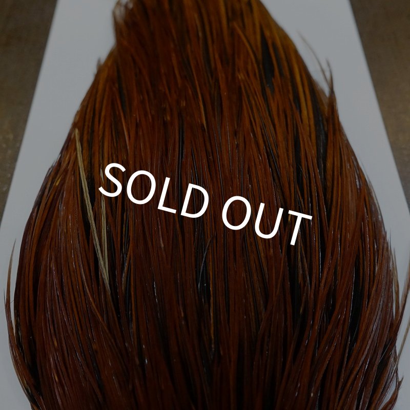 画像5: 【WHITING】Hebert ROOSTER CAPE PRO grade - Furnace No.3 (5)