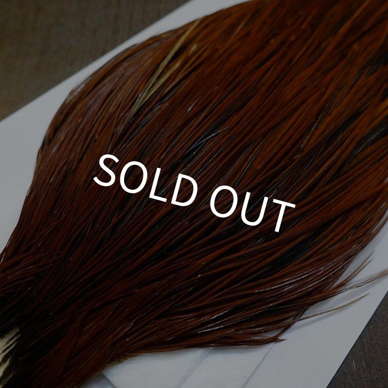 画像3: 【WHITING】Hebert ROOSTER CAPE PRO grade - Furnace No.3 (3)