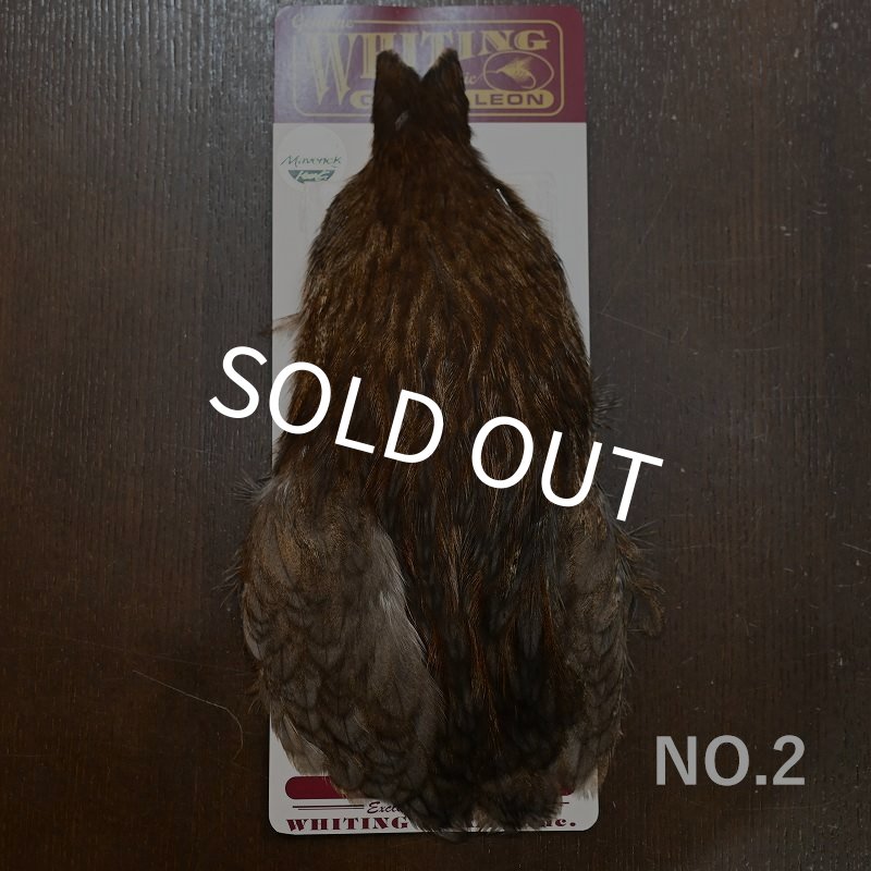 画像2: 【WHITING】Coq de Leon Hen Cape - Unique Variant (2)