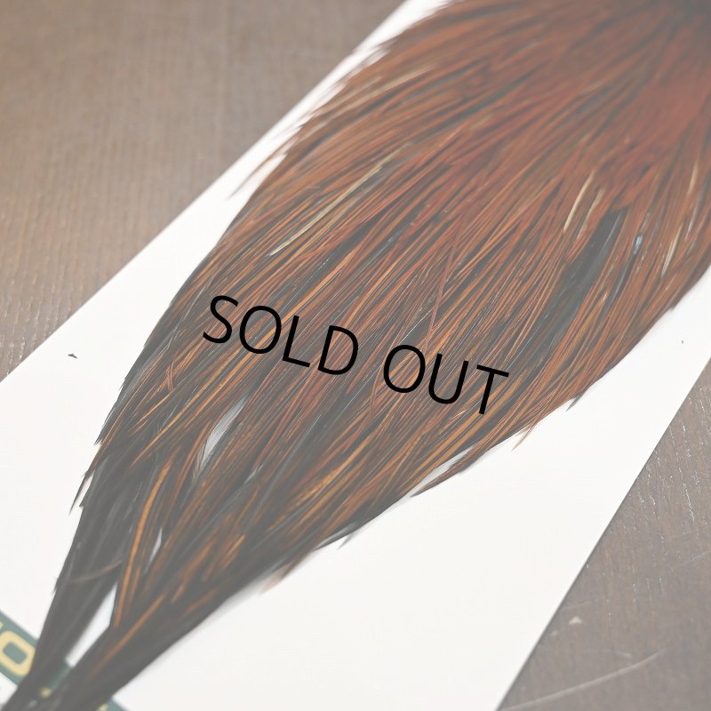 画像5: 【WHITING】Hebert ROOSTER CAPE PRO grade - Furnace No.4 (5)