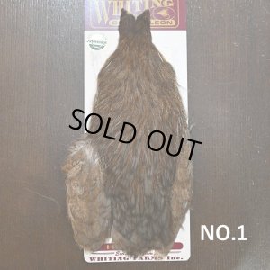 画像1: 【WHITING】Coq de Leon Hen Cape - Unique Variant