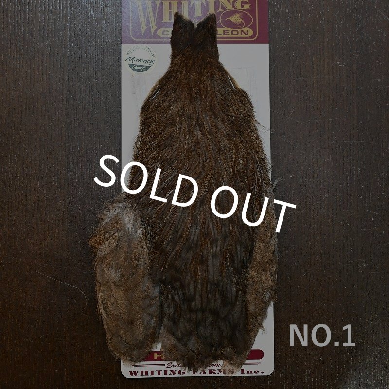 画像1: 【WHITING】Coq de Leon Hen Cape - Unique Variant (1)