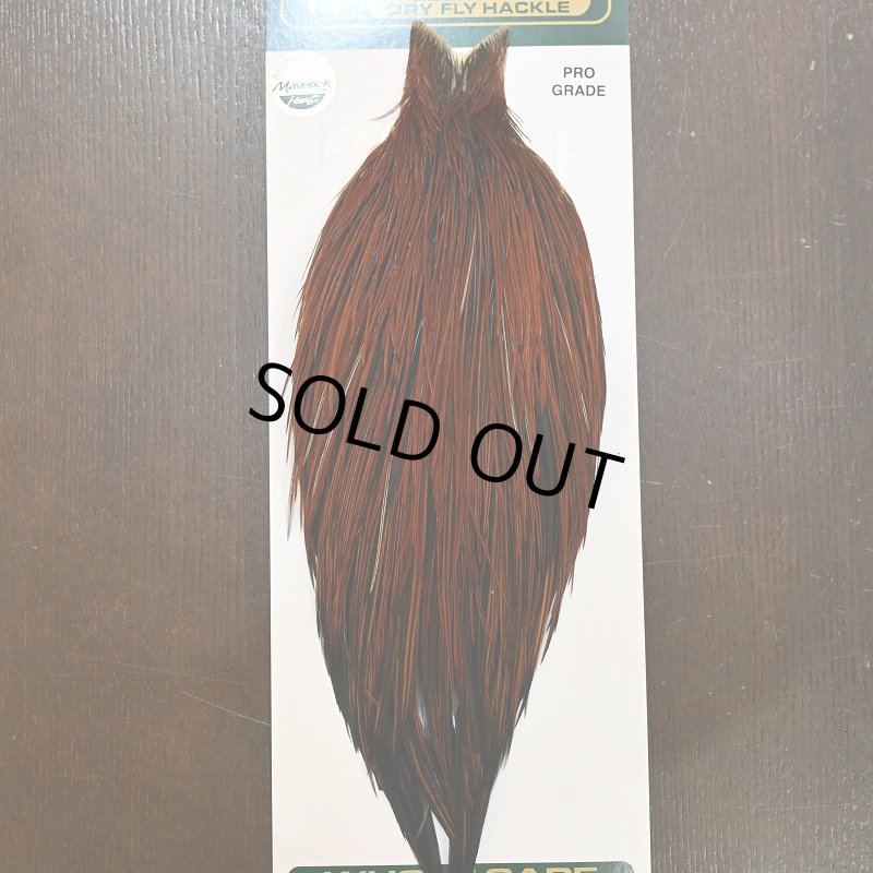 画像1: 【WHITING】Hebert ROOSTER CAPE PRO grade - Furnace No.4 (1)