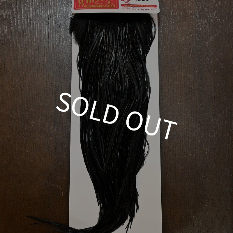 画像1: 【WHITING】ROOSTER SADDLE PRO Grade - Black No.1 #14 (1)