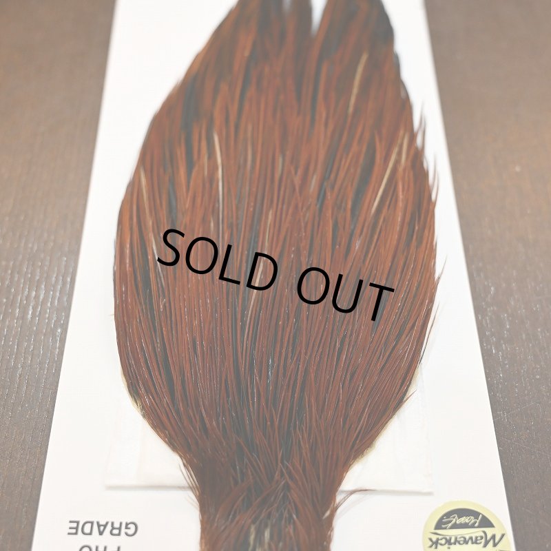 画像6: 【WHITING】Hebert ROOSTER CAPE PRO grade - Furnace No.4 (6)