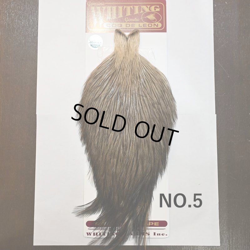 画像5: 【WHITING】Coq de Leon ROOSTER CAPE - Speckled Badger (5)