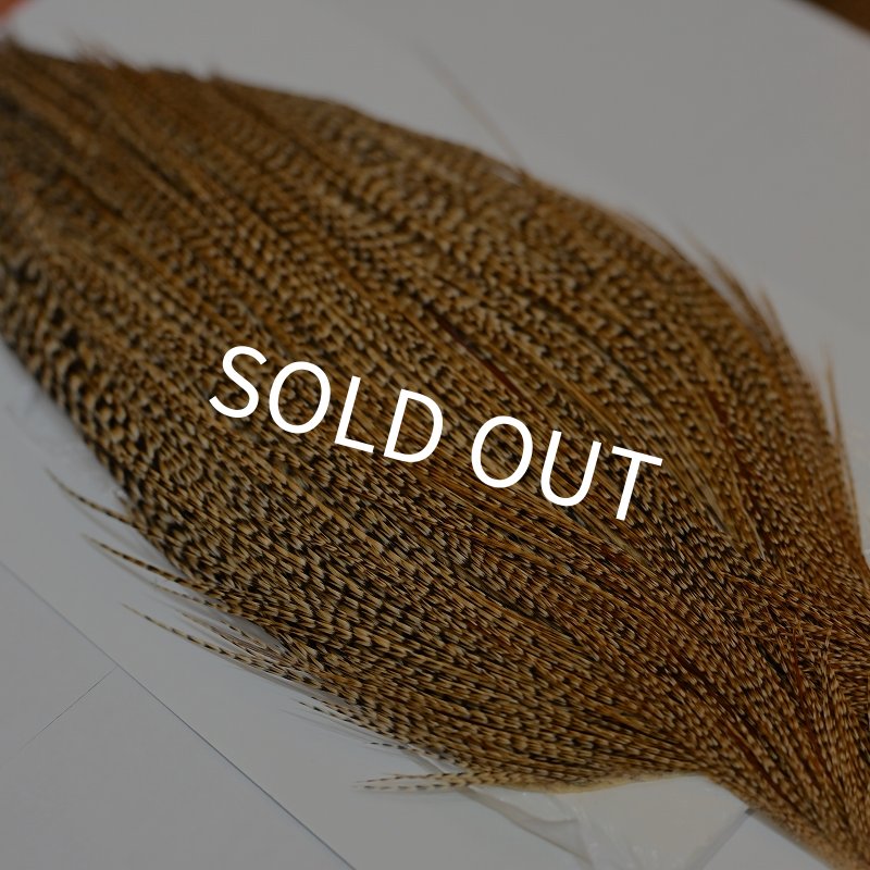 画像5: 【Whiting】ROOSTER CAPE Silver Grade - CREE (5)