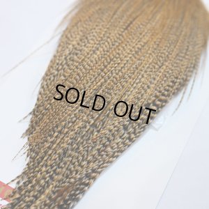 画像6: 【Whiting】ROOSTER CAPE Silver Grade - CREE