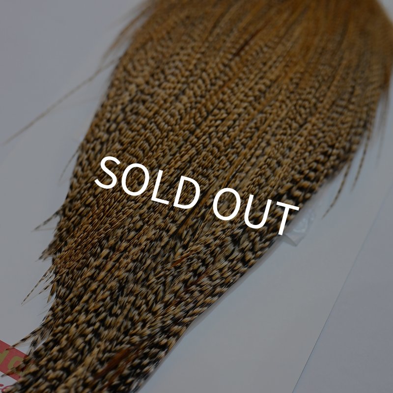 画像6: 【Whiting】ROOSTER CAPE Silver Grade - CREE (6)