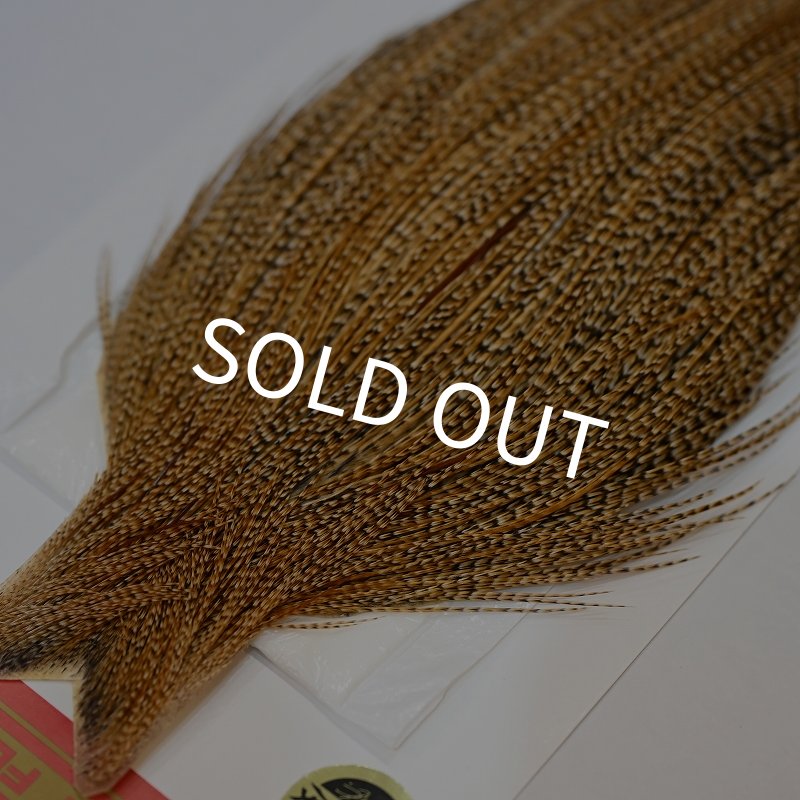 画像3: 【Whiting】ROOSTER CAPE Silver Grade - CREE (3)