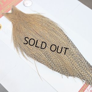 画像2: 【Whiting】ROOSTER CAPE Silver Grade - CREE