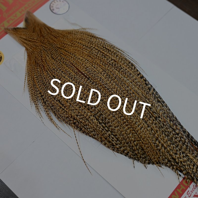 画像2: 【Whiting】ROOSTER CAPE Silver Grade - CREE (2)