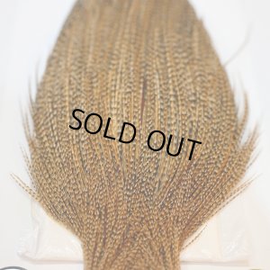 画像4: 【Whiting】ROOSTER CAPE Silver Grade - CREE