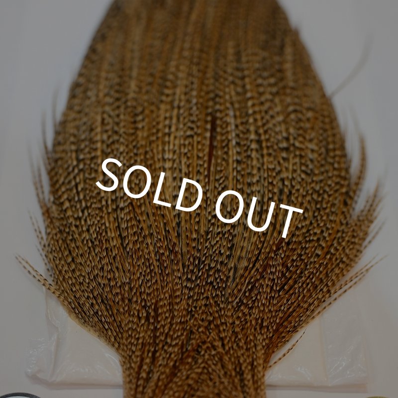 画像4: 【Whiting】ROOSTER CAPE Silver Grade - CREE (4)