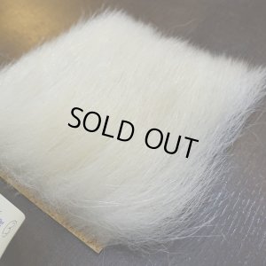 画像3: 【D】ポーラーベア ラージカット(3)