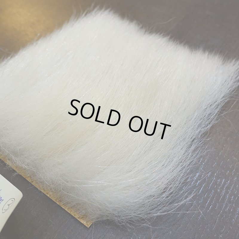 画像3: 【D】ポーラーベア ラージカット(3) (3)