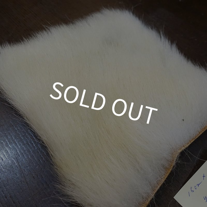 画像2: 【D】ポーラーベア ラージカット(5) (2)