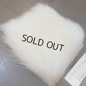 画像2: 【D】ポーラーベア ラージカット(3)