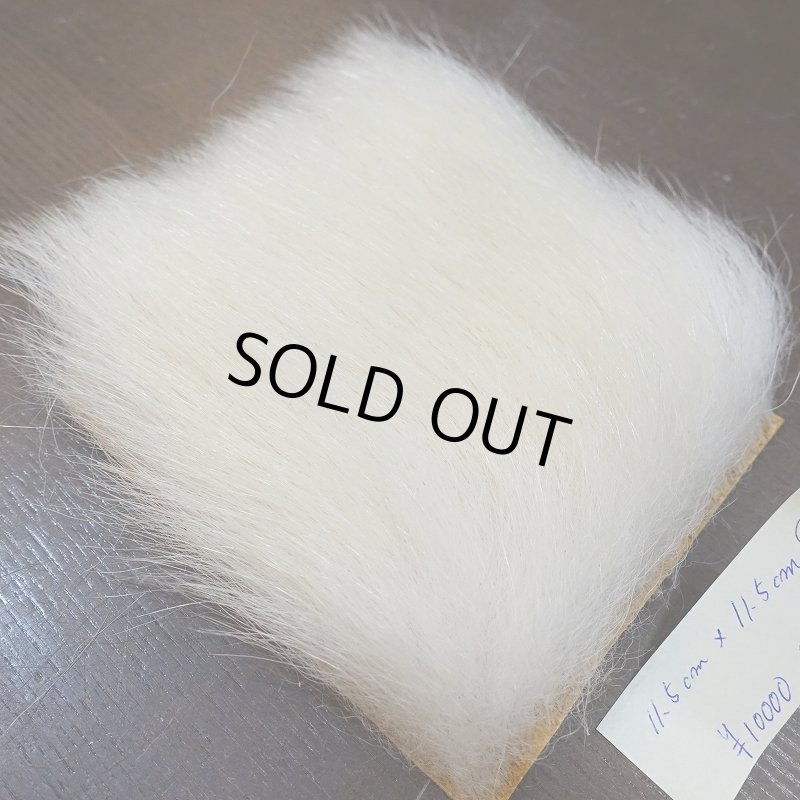 画像2: 【D】ポーラーベア ラージカット(3) (2)