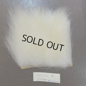 画像1: 【D】ポーラーベア ラージカット(4)