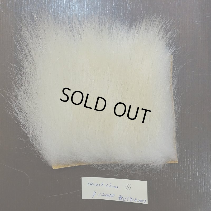 画像1: 【D】ポーラーベア ラージカット(4) (1)