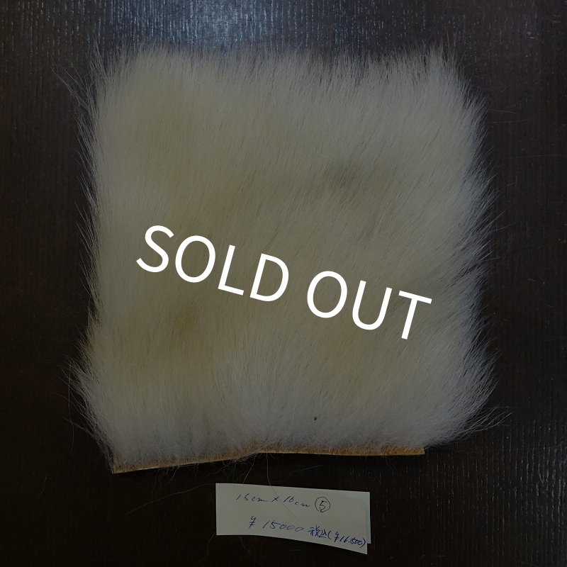 画像1: 【D】ポーラーベア ラージカット(5) (1)