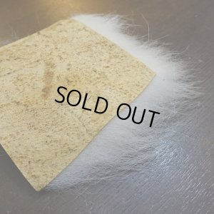 画像4: 【D】ポーラーベア ラージカット(4)