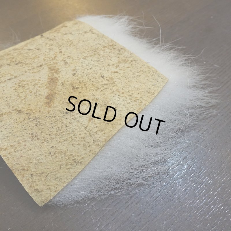 画像4: 【D】ポーラーベア ラージカット(4) (4)