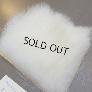 画像3: 【D】ポーラーベア ラージカット(4)