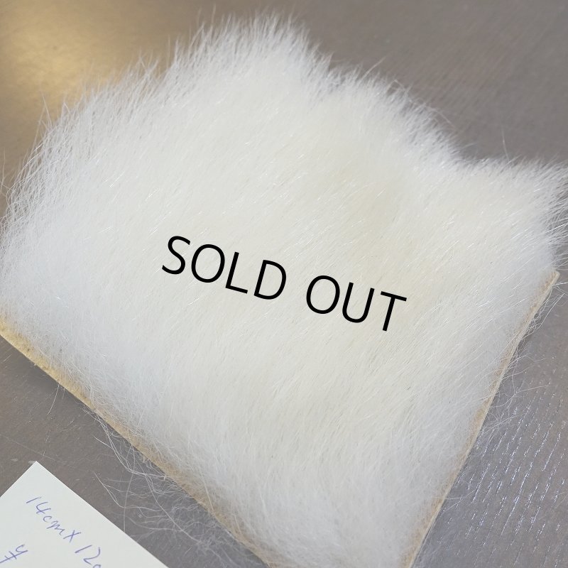 画像3: 【D】ポーラーベア ラージカット(4) (3)