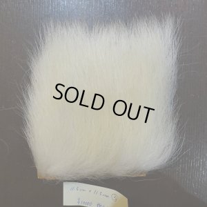 画像1: 【D】ポーラーベア ラージカット(3)