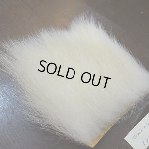 画像2: 【D】ポーラーベア ラージカット(4)