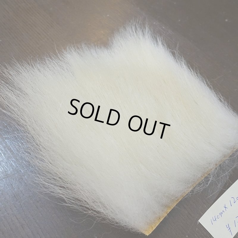 画像2: 【D】ポーラーベア ラージカット(4) (2)