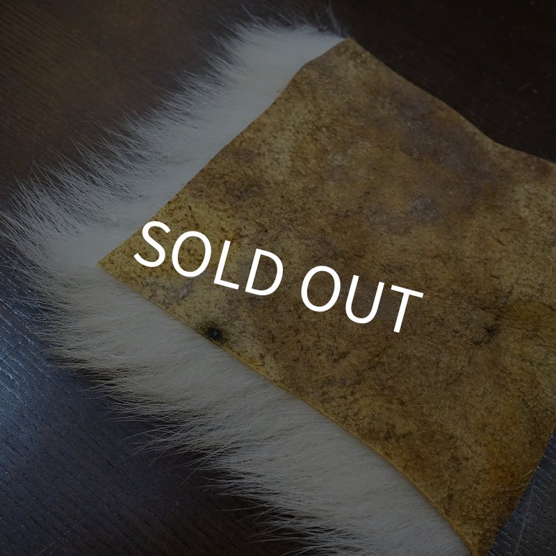 画像4: 【D】ポーラーベア ラージカット(5) (4)