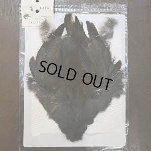 画像1: 【CANAL】MOORHEN コンプリート No.3