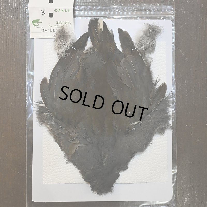 画像1: 【CANAL】MOORHEN コンプリート No.3 (1)