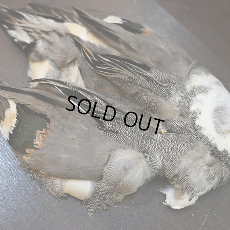 画像2: 【CANAL】ピンテール・コンプリート (2)