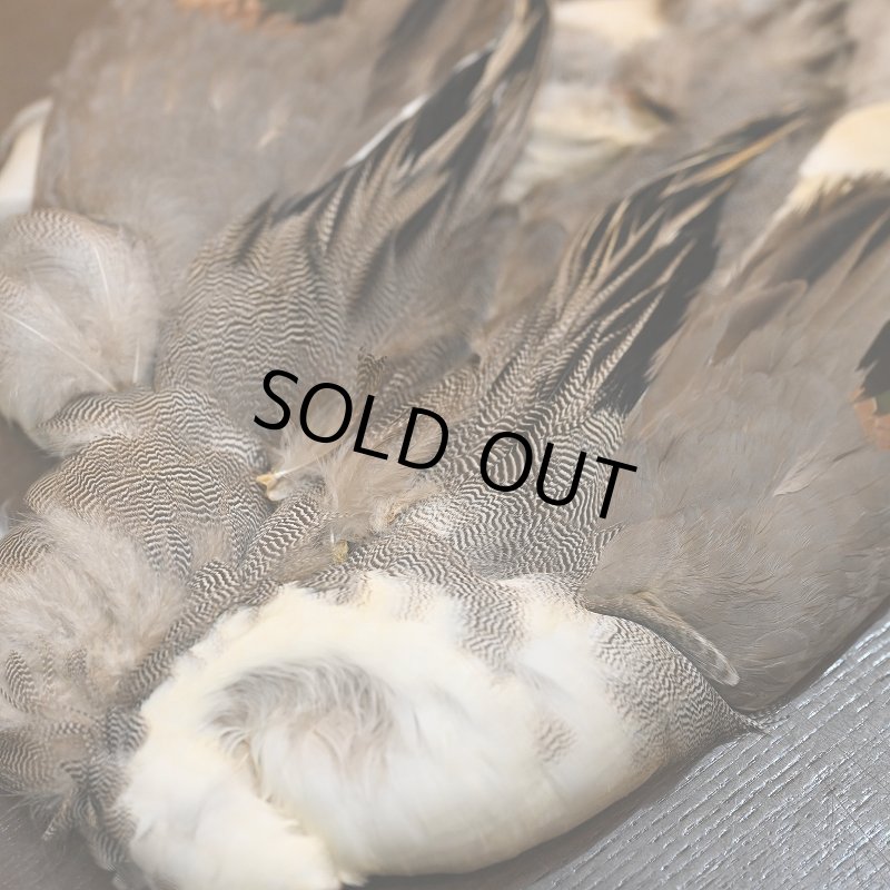 画像4: 【CANAL】ピンテール・コンプリート (4)