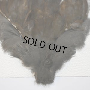 画像4: 【CANAL】MOORHEN コンプリート No.3