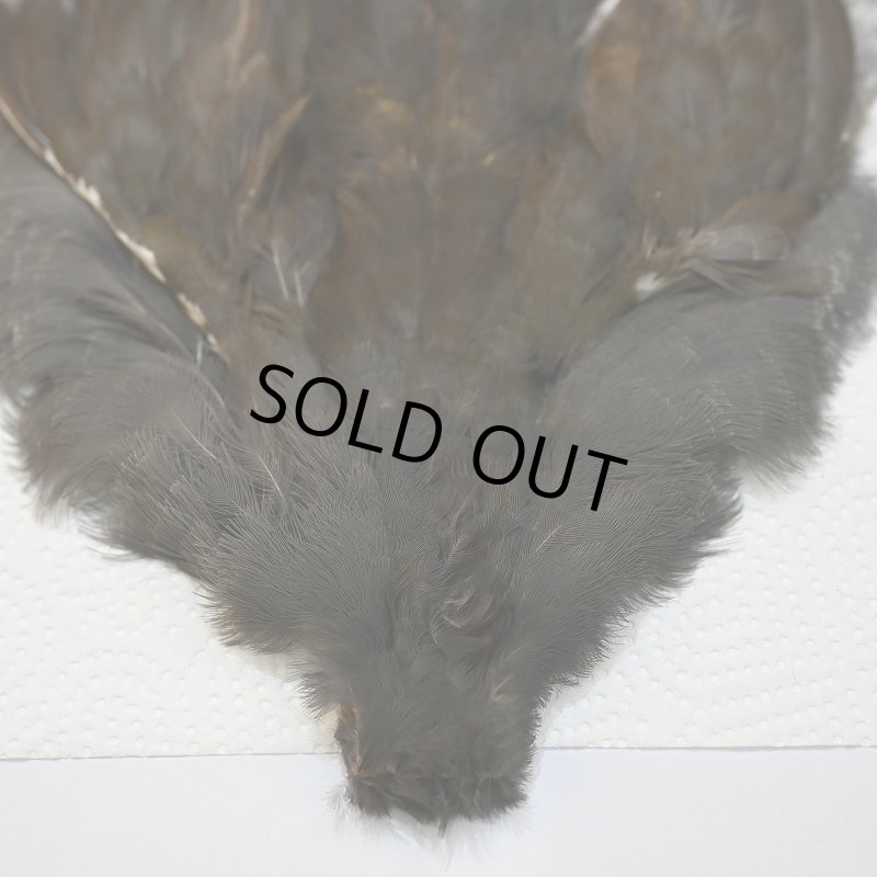 画像4: 【CANAL】MOORHEN コンプリート No.3 (4)