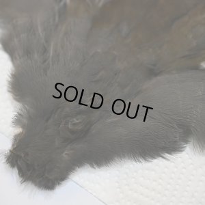 画像2: 【CANAL】MOORHEN コンプリート No.3