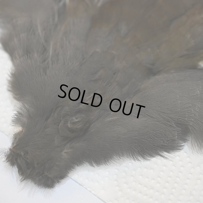 画像2: 【CANAL】MOORHEN コンプリート No.3 (2)