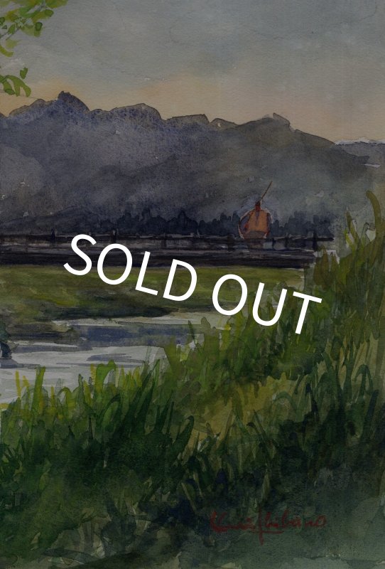 画像1: 【柴野邦彦】オリジナル水彩画「ライズ探し」 (1)