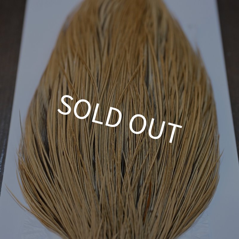 画像5: 【Whiting】Hebert ROOSTER CAPE Pro Grade - GOLDEN BADGER No.1 (5)