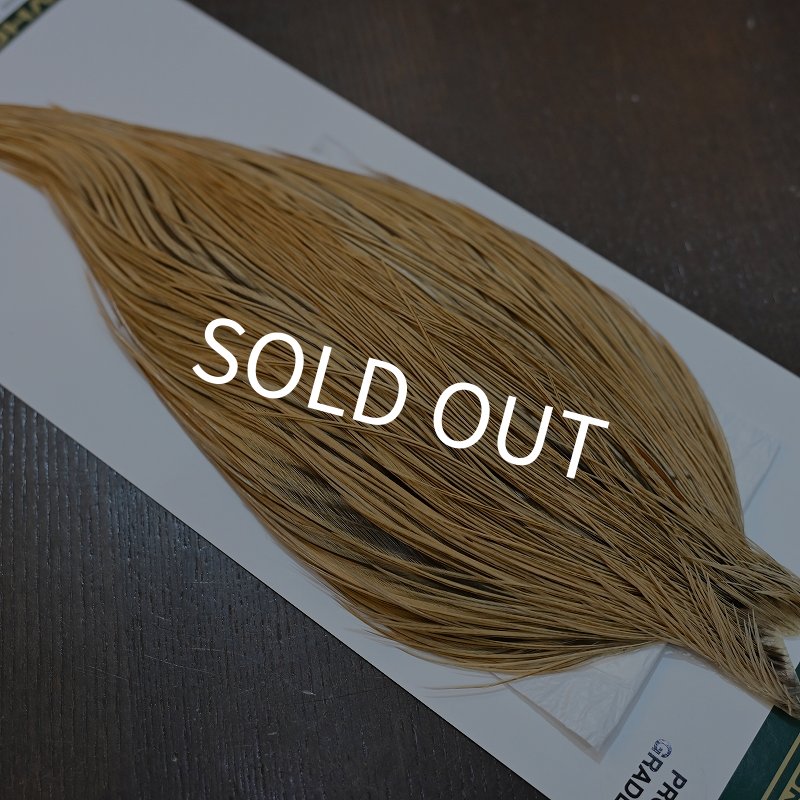 画像4: 【Whiting】Hebert ROOSTER CAPE Pro Grade - GOLDEN BADGER No.1 (4)