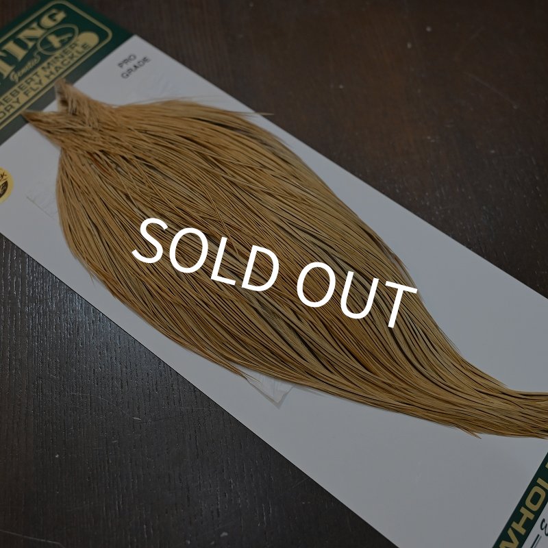 画像2: 【Whiting】Hebert ROOSTER CAPE Pro Grade - GOLDEN BADGER No.1 (2)