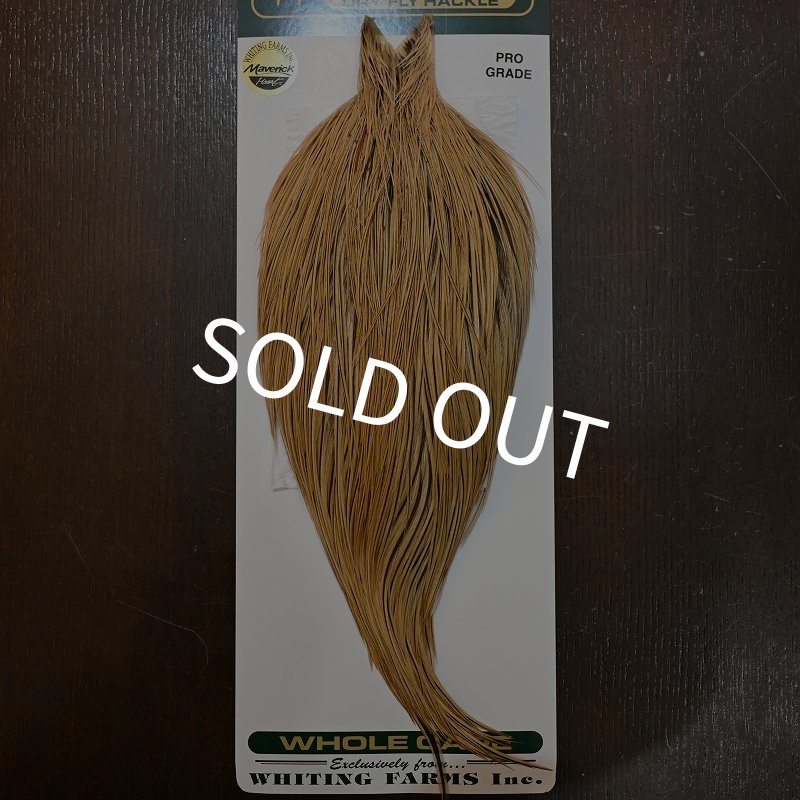 画像1: 【Whiting】Hebert ROOSTER CAPE Pro Grade - GOLDEN BADGER No.1 (1)